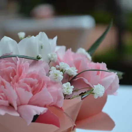 & Diamant 4* Слънчев бряг