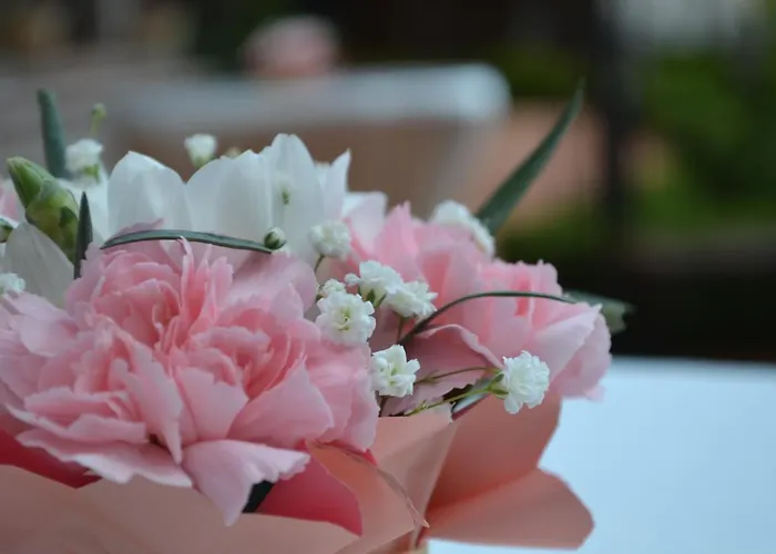 & Diamant 4* Sunny Beach